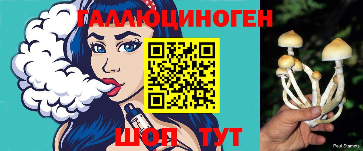 Галлюциногенные грибы GOLDEN TEACHER  Вход с VPN  Челябинск 